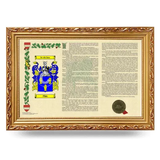 Phin Armorial Landscape Framed - Gold