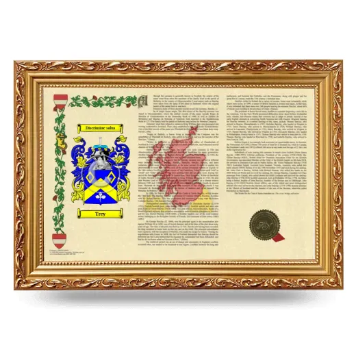Trey Armorial Landscape Framed - Gold