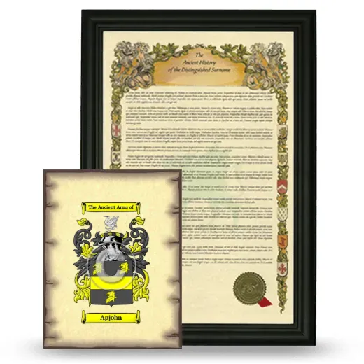 Apjohn Framed History and Coat of Arms Print - Black