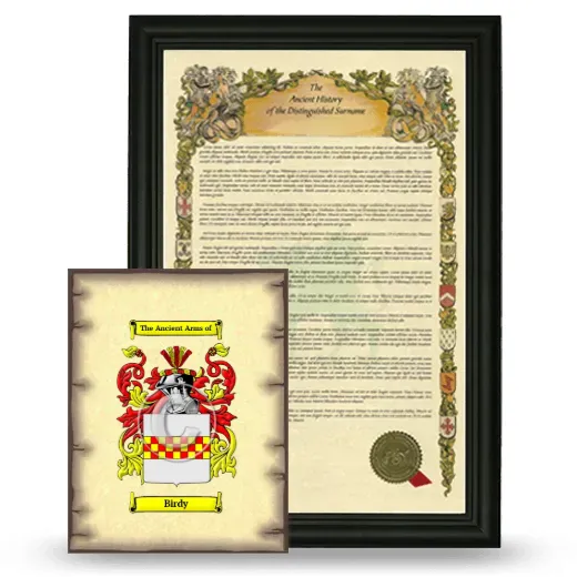 Birdy Framed History and Coat of Arms Print - Black