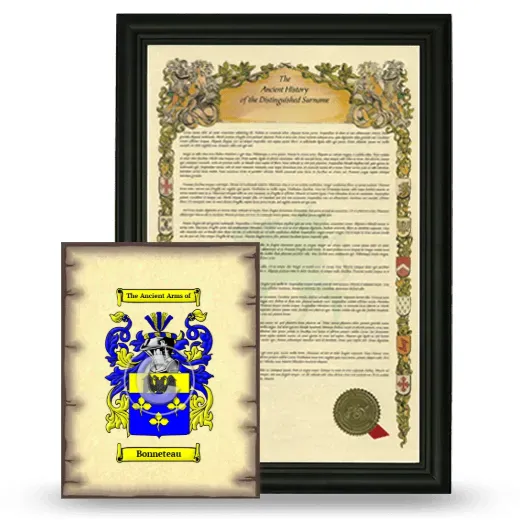 Bonneteau Framed History and Coat of Arms Print - Black