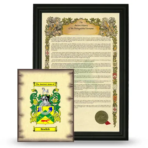Bradick Framed History and Coat of Arms Print - Black