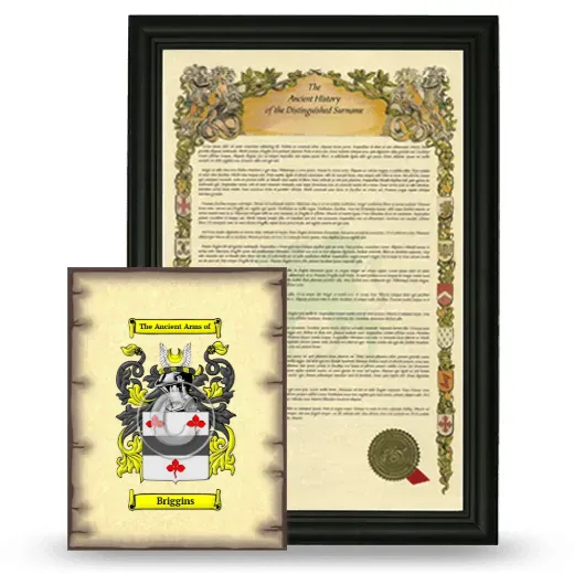 Briggins Framed History and Coat of Arms Print - Black