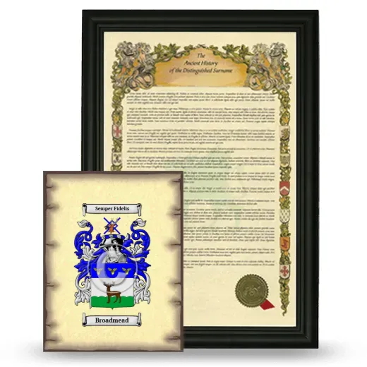 Broadmead Framed History and Coat of Arms Print - Black