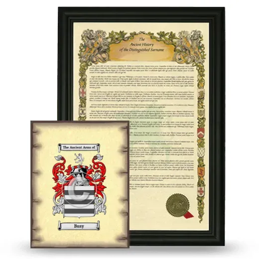 Busy Framed History and Coat of Arms Print - Black