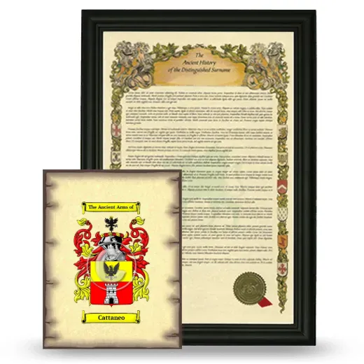Cattaneo Framed History and Coat of Arms Print - Black