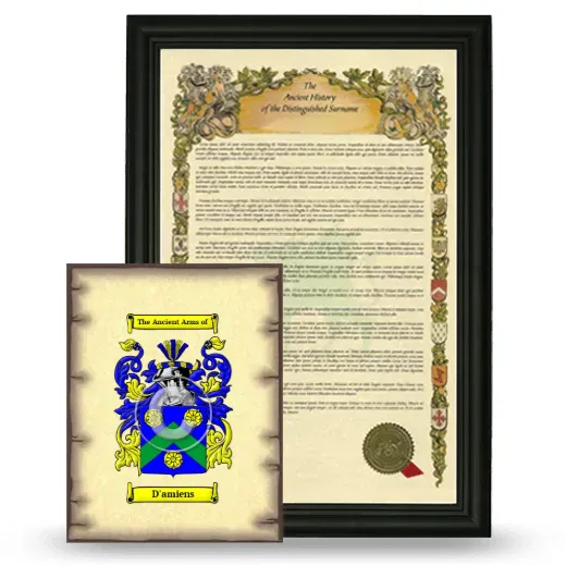 D'amiens Framed History and Coat of Arms Print - Black