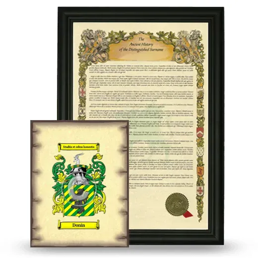 Donin Framed History and Coat of Arms Print - Black