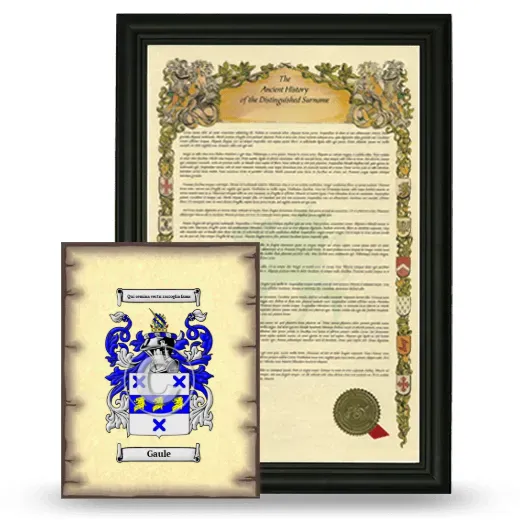 Gaule Framed History and Coat of Arms Print - Black