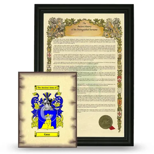Gaur Framed History and Coat of Arms Print - Black