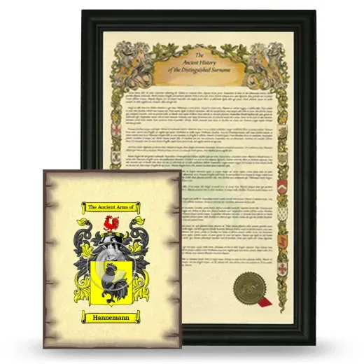 Hannemann Framed History and Coat of Arms Print - Black