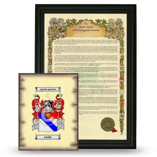 Leaky Framed History and Coat of Arms Print - Black