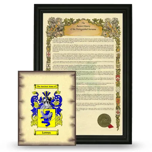 Loveyn Framed History and Coat of Arms Print - Black