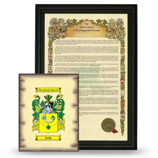 Lurie Framed History and Coat of Arms Print - Black