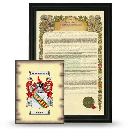 Plume Framed History and Coat of Arms Print - Black