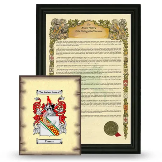 Plumm Framed History and Coat of Arms Print - Black