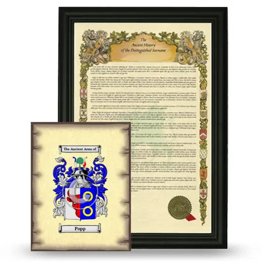 Popp Framed History and Coat of Arms Print - Black