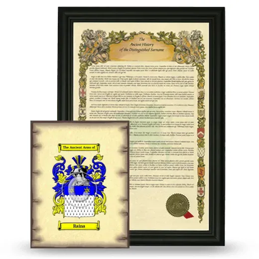 Raina Framed History and Coat of Arms Print - Black