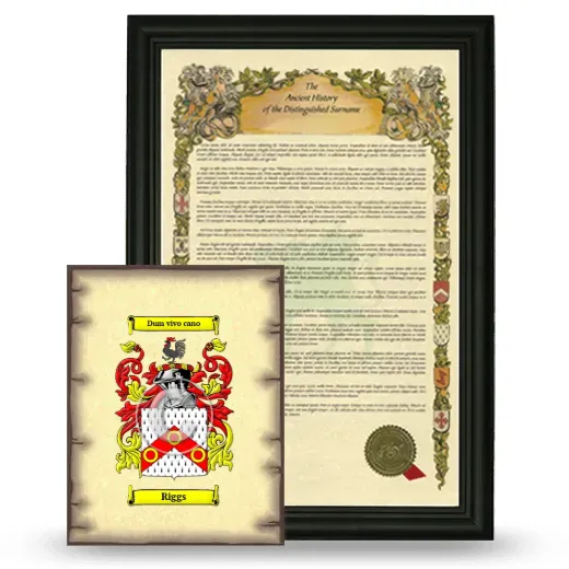 Riggs Framed History and Coat of Arms Print - Black