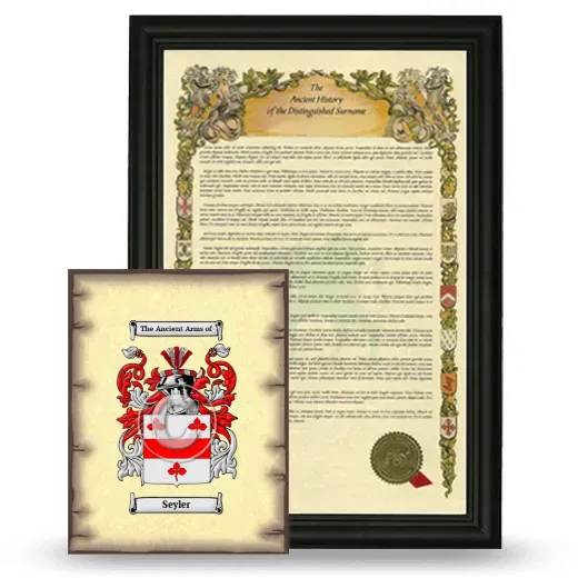 Seyler Framed History and Coat of Arms Print - Black