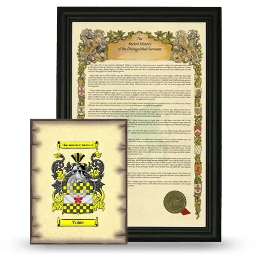 Tobie Framed History and Coat of Arms Print - Black