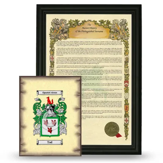 Tod Framed History and Coat of Arms Print - Black