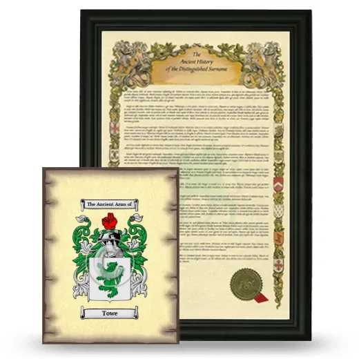 Towe Framed History and Coat of Arms Print - Black