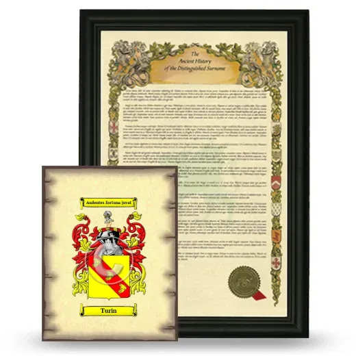 Turin Framed History and Coat of Arms Print - Black