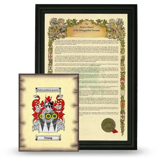 Young Framed History and Coat of Arms Print - Black