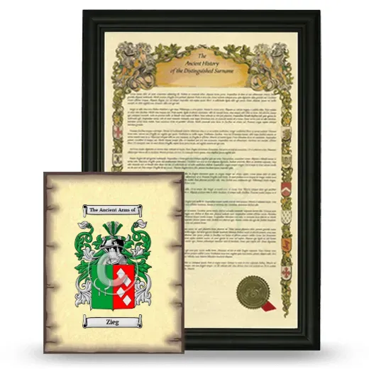 Zieg Framed History and Coat of Arms Print - Black