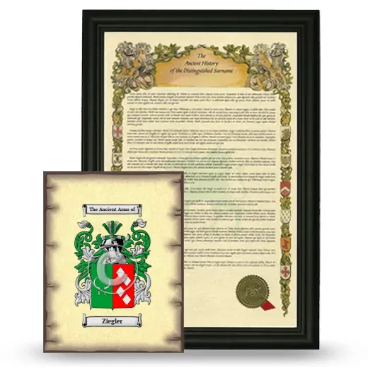 Ziegler Framed History and Coat of Arms Print - Black