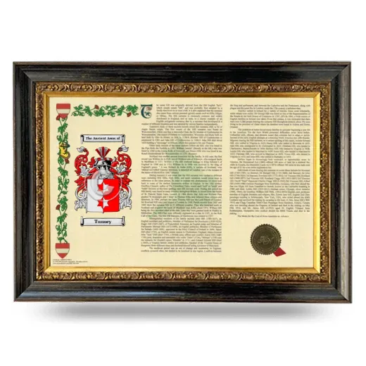 Tunney Armorial Landscape Framed - Heirloom