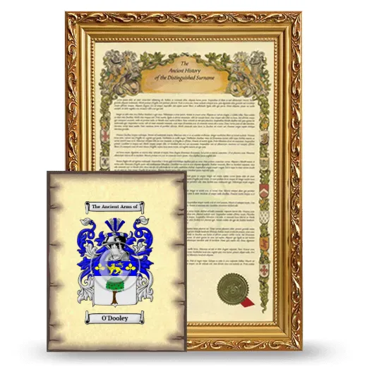 O'Dooley Framed History and Coat of Arms Print - Gold