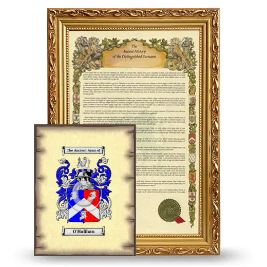 O'Halihan Framed History and Coat of Arms Print - Gold