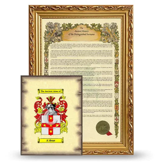 A'dene Framed History and Coat of Arms Print - Gold