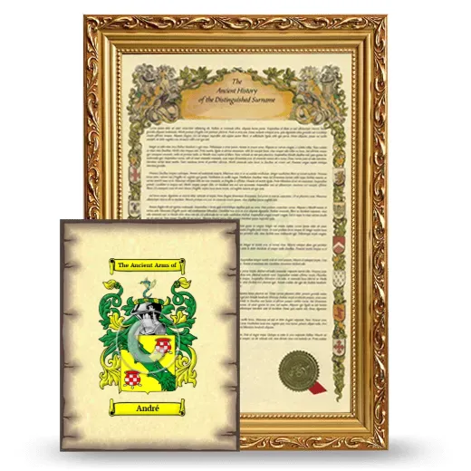 André Framed History and Coat of Arms Print - Gold