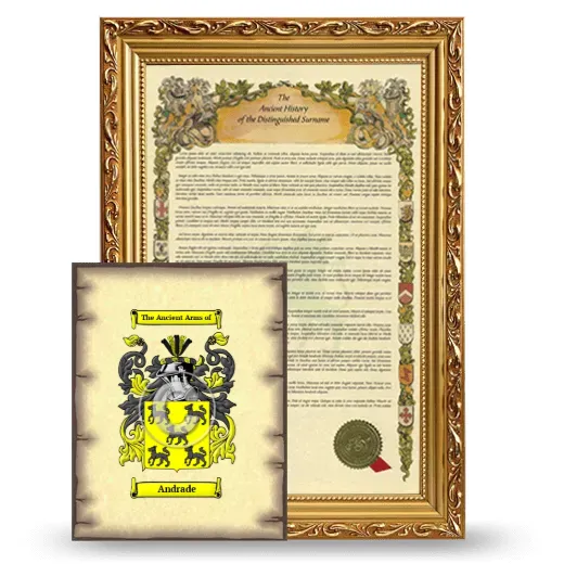 Andrade Framed History and Coat of Arms Print - Gold