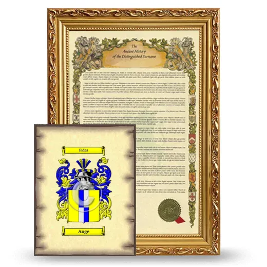 Ange Framed History and Coat of Arms Print - Gold