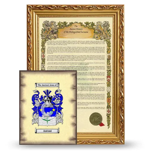 Antoni Framed History and Coat of Arms Print - Gold