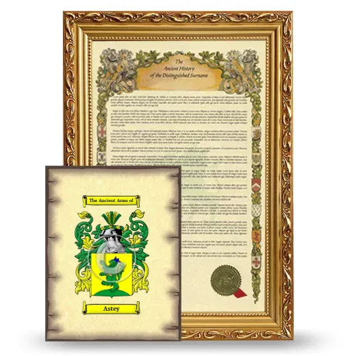 Astey Framed History and Coat of Arms Print - Gold