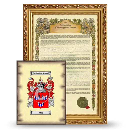 Ayn Framed History and Coat of Arms Print - Gold