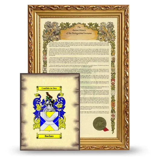 Bachas Framed History and Coat of Arms Print - Gold