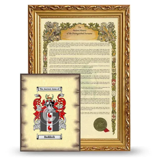 Baddock Framed History and Coat of Arms Print - Gold