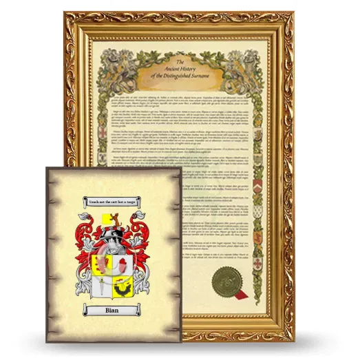 Bian Framed History and Coat of Arms Print - Gold