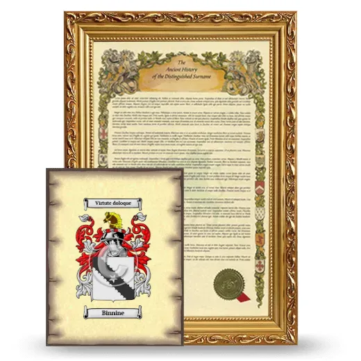 Binnine Framed History and Coat of Arms Print - Gold
