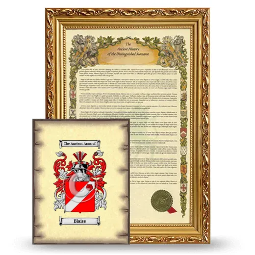 Blaise Framed History and Coat of Arms Print - Gold