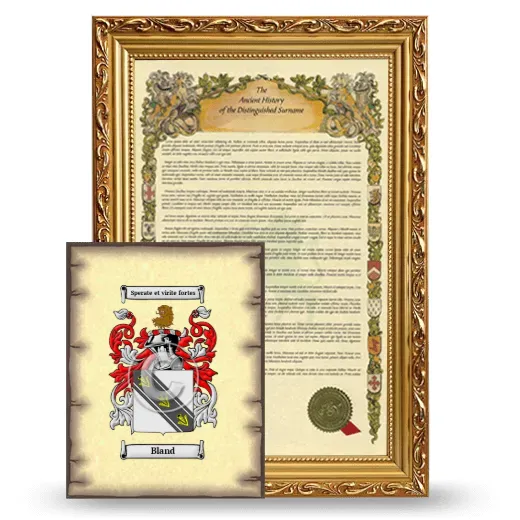 Bland Framed History and Coat of Arms Print - Gold