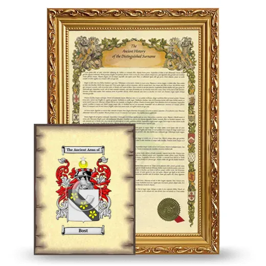 Bost Framed History and Coat of Arms Print - Gold