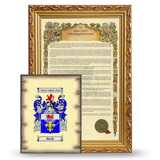 Brock Framed History and Coat of Arms Print - Gold