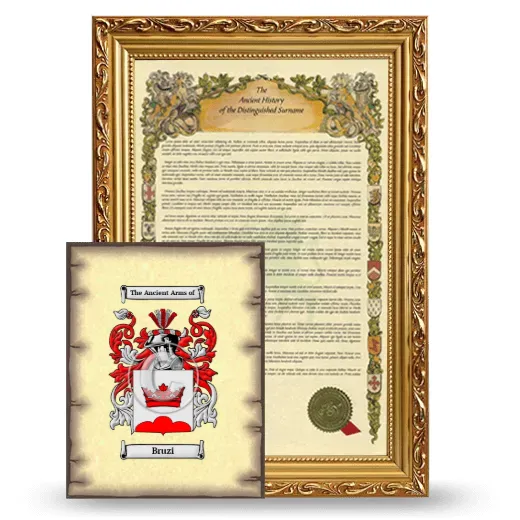 Bruzi Framed History and Coat of Arms Print - Gold